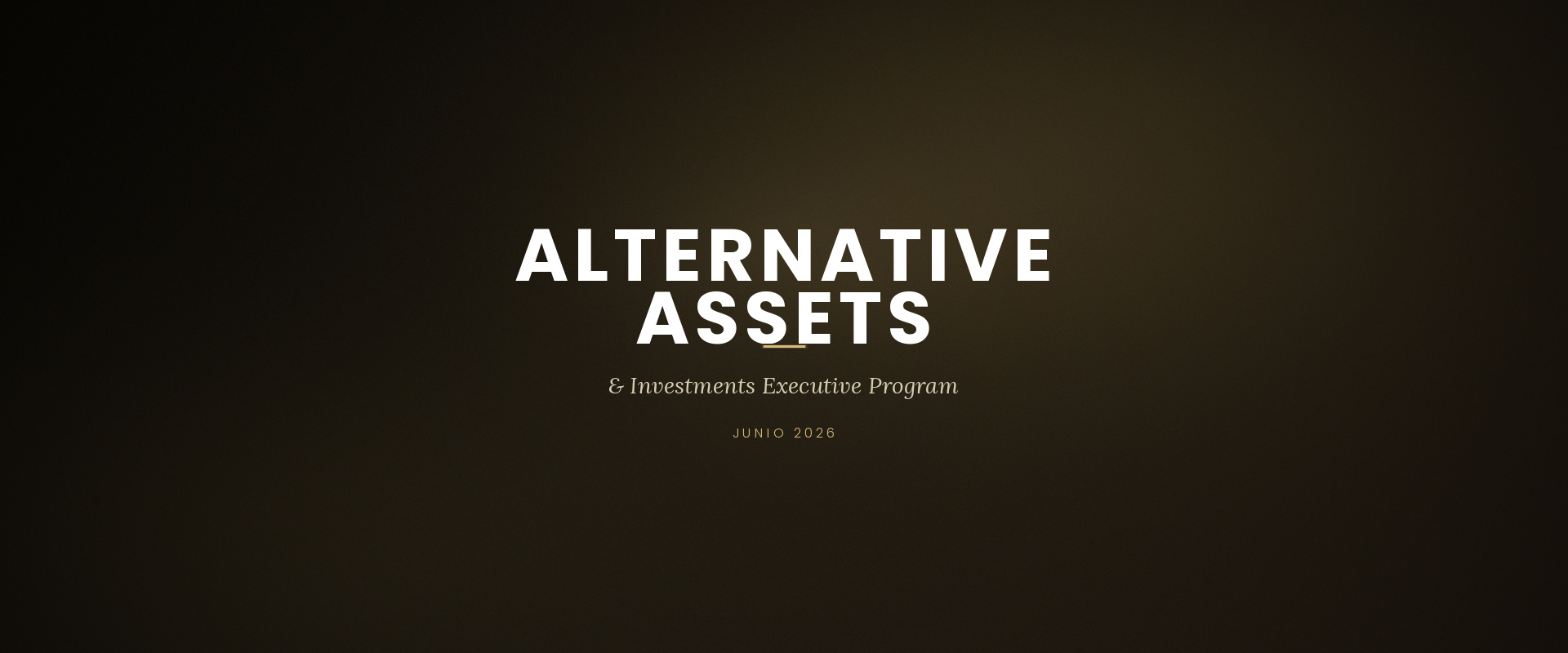 08_alternative_assets.jpg